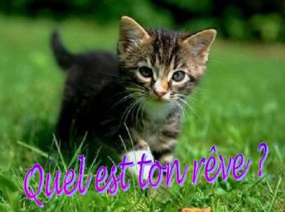 quel est ton reve?