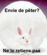 PETE 1 COU