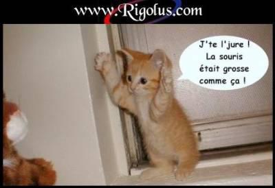 j' te l' jure