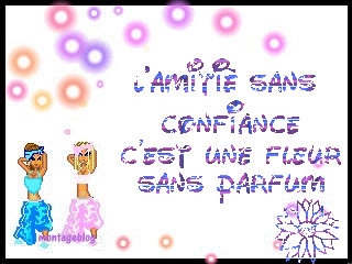 SES NETTE